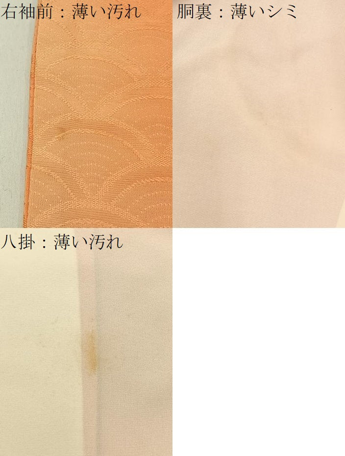 平和屋着物■上質な小紋 青海波地紋 暈し染め 正絹 逸品 BAAW9065hj