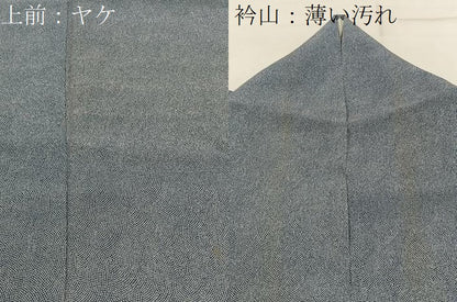 平和屋着物■江戸小紋 鮫小紋柄 正絹 逸品 BAAW9077hj