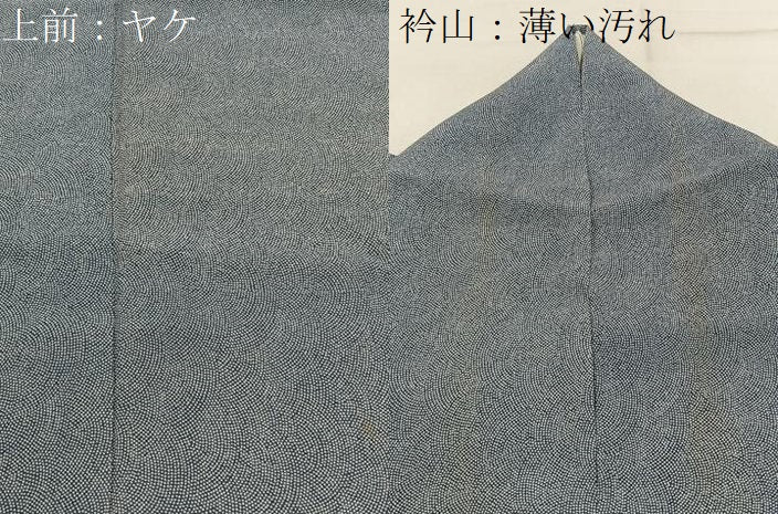 平和屋着物■江戸小紋 鮫小紋柄 正絹 逸品 BAAW9077hj