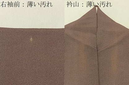平和屋着物■江戸小紋 鮫小紋柄 正絹 逸品 BAAW9090hj