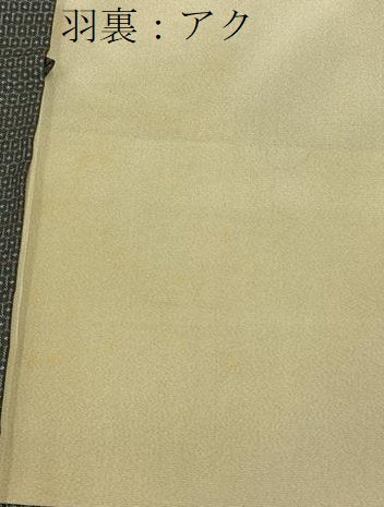平和屋着物■男性 本場大島紬 アンサンブル 100亀甲 総詰め 反端付き 正絹 逸品 BAAW9109hj