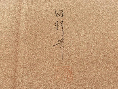 平和屋着物■上質な小紋 作家物 霞文 たたき染め 正絹 逸品 BAAW9134hj