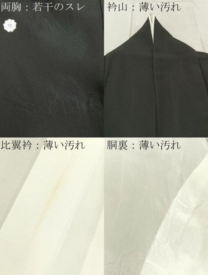 平和屋着物■豪華黒留袖　駒刺繍　飛鶴立波文　金彩　正絹　逸品　BAAW9154hj