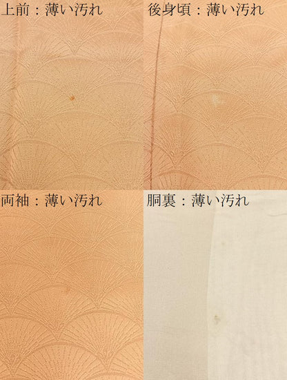 平和屋着物■上質な小紋 青海波地紋 暈し染め 正絹 逸品 BAAW9226hj