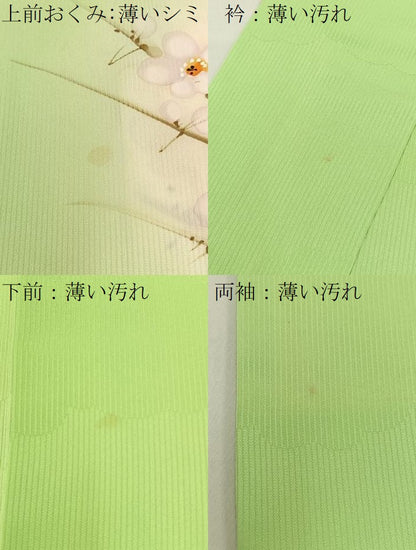 平和屋着物■訪問着 手描き 枝梅文 暈し染め 正絹 逸品 BAAW9237hj