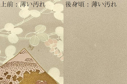 平和屋着物■豪華色留袖 色紙重ね光琳水花文 金彩 正絹 逸品 BAAW9259hj