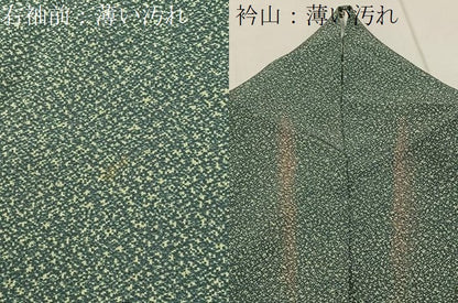 平和屋着物■訪問着　草花文　たたき染め　正絹　逸品　BAAW9277hj