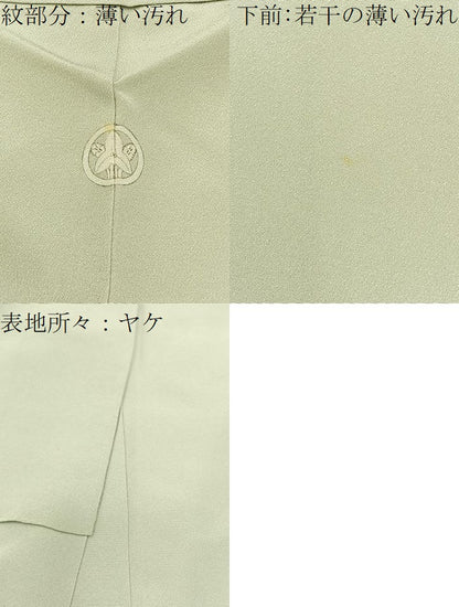 平和屋着物■上質な色無地 白緑色 正絹 逸品 BAAW9554hj