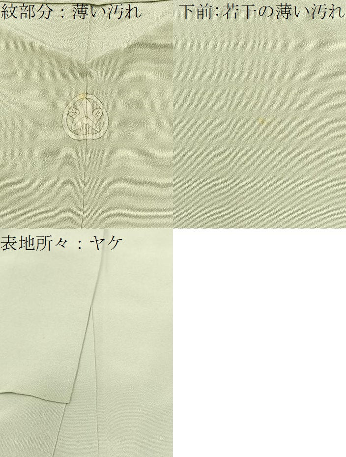 平和屋着物■上質な色無地 白緑色 正絹 逸品 BAAW9554hj