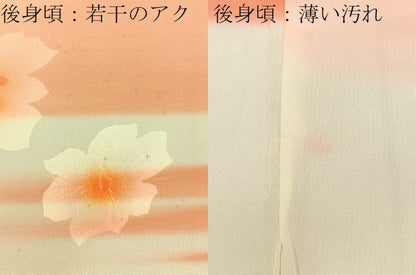 平和屋着物■長襦袢 無双仕立て 絞り 舞花文 暈し染め 正絹 逸品 BAAW9566hj