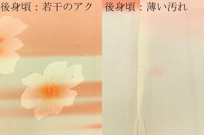平和屋着物■長襦袢 無双仕立て 絞り 舞花文 暈し染め 正絹 逸品 BAAW9566hj