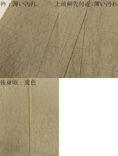 平和屋着物■訪問着 ふくれ織 草花文 暈し染め 金彩 正絹 逸品 BAAW9582hj