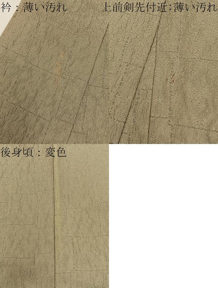 平和屋着物■訪問着 ふくれ織 草花文 暈し染め 金彩 正絹 逸品 BAAW9582hj