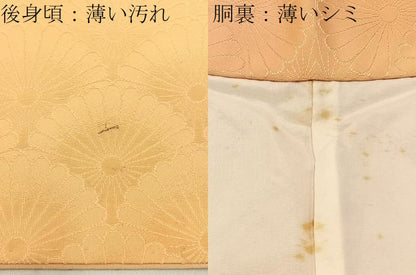 平和屋着物■上質な小紋 菊青海波地紋 暈し染め 正絹 逸品 BAAW9587hj