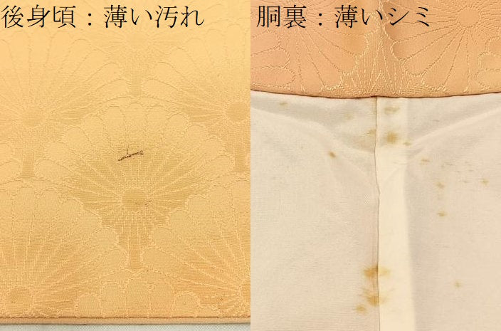 平和屋着物■上質な小紋 菊青海波地紋 暈し染め 正絹 逸品 BAAW9587hj