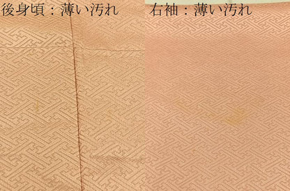 平和屋着物■訪問着 花蝶文 暈し染め 金彩 正絹 逸品 BAAW9593hj