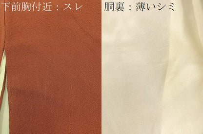 平和屋着物■訪問着 草花文 金彩 鬼しぼ縮緬 正絹 逸品 BAAW9652hj