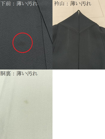 平和屋着物■訪問着 檜扇雪輪吉祥文 濃紺地 金彩 正絹 逸品 BAAW9757hj