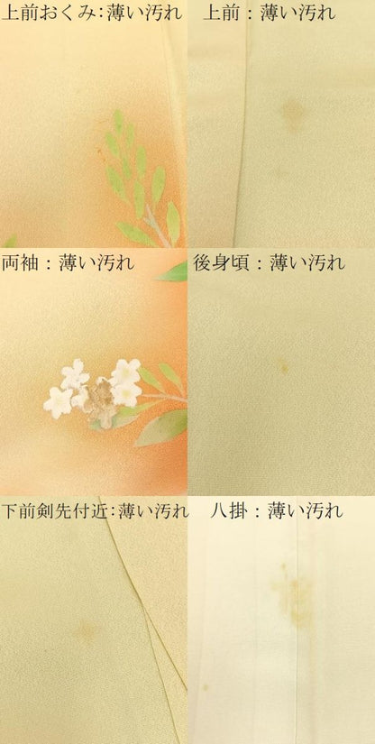 平和屋着物■訪問着　手描き　草花文　暈し染め　正絹　逸品　BAAW9800hj