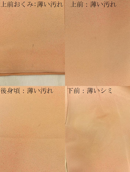 平和屋着物■上質な小紋　霞文　暈し染め　正絹　逸品　BAAW9805hj