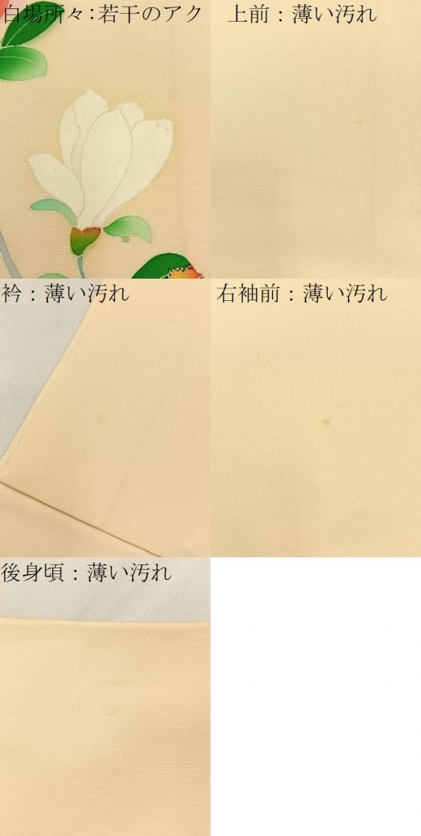 平和屋着物■訪問着　友禅　枝花文　正絹　逸品　BAAW9814hj