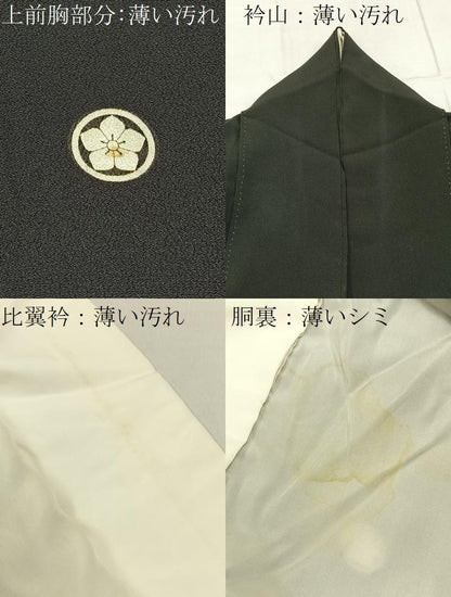 平和屋着物■豪華黒留袖　刺繍　尾長鳥枝花文　金彩　正絹　逸品　BAAW9842hj