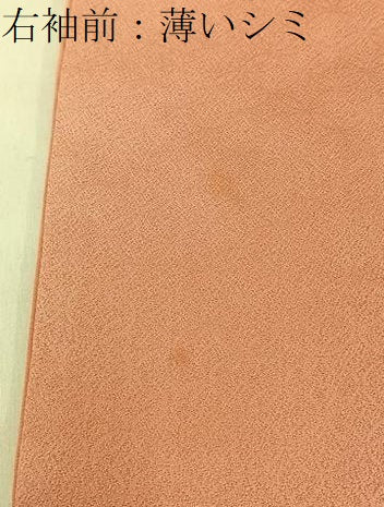 平和屋着物■訪問着 駒刺繍 籠目菊文 暈し染め 金彩 正絹 逸品 BAAW9946hj
