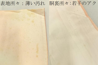 平和屋着物■訪問着 草花文 暈し染め 金彩 正絹 逸品 BAAW9948hj
