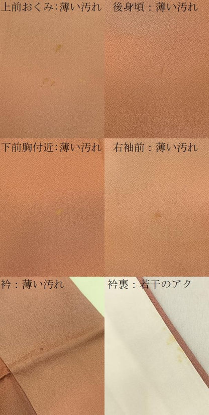 平和屋着物■上質な小紋 作家物 霞文 暈し染め 高島屋扱い 正絹 逸品 BAAW9949hj