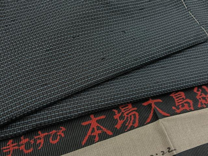 平和屋着物■男性　本場大島紬　アンサンブル　100亀甲　総詰め　反端付き　正絹　逸品　未使用　BAAW9999hj