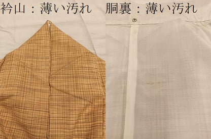 平和屋着物■上質な紬 格子柄 正絹 逸品 BAAX0222mz