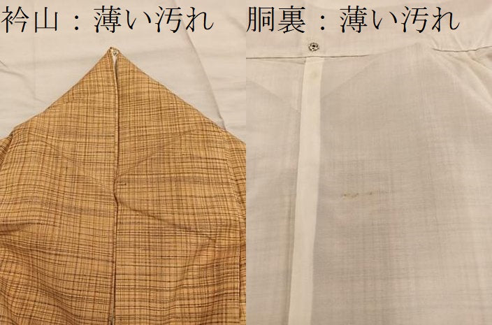 平和屋着物■上質な紬 格子柄 正絹 逸品 BAAX0222mz