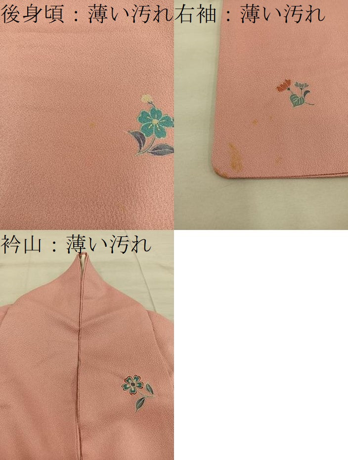 平和屋着物■訪問着 舞蝶花鳥文 暈し染め 金銀彩 正絹 逸品 BAAX0226mz