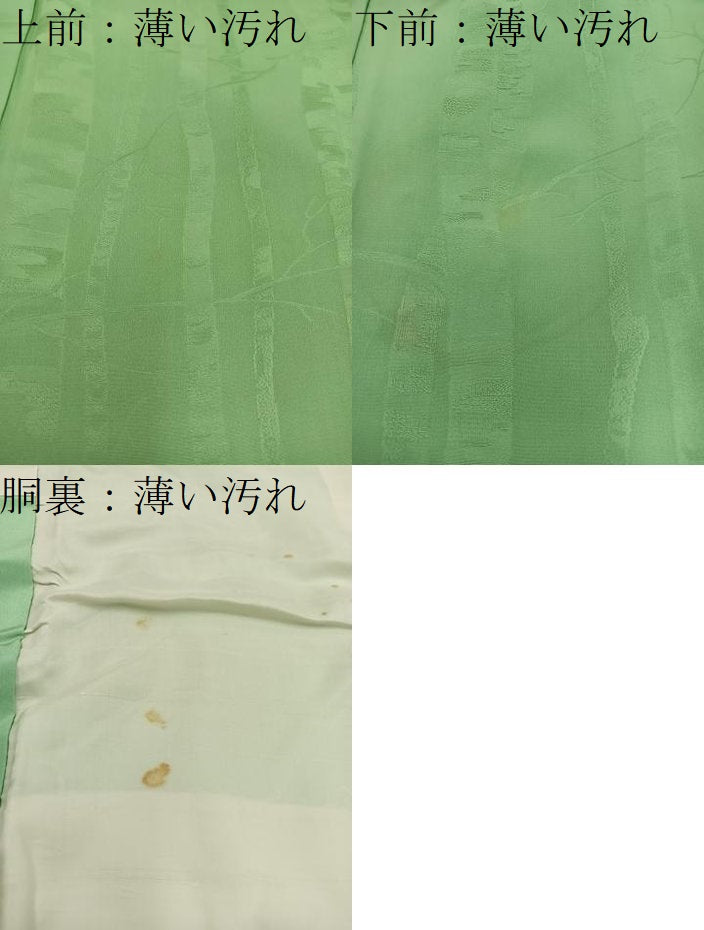 平和屋着物■上質な色無地 竹地紋 柳色 正絹 逸品 BAAX0243mz