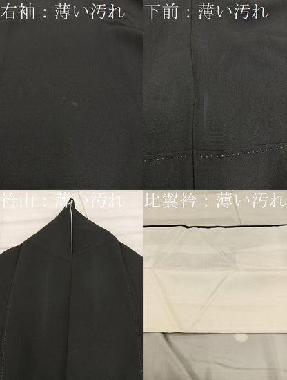 平和屋着物■豪華黒留袖 樹林風景文 暈し染め 金彩 正絹 逸品 BAAX0244mz