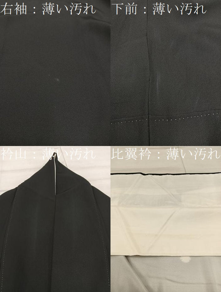 平和屋着物■豪華黒留袖 樹林風景文 暈し染め 金彩 正絹 逸品 BAAX0244mz