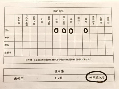 平和屋着物◎六通柄京袋　本袋帯　立波文　金銀糸　正絹　逸品　BAAX0645hv