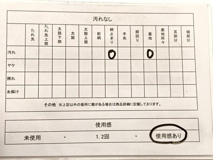 平和屋着物◎六通柄　京袋帯　風景文　金銀糸　正絹　逸品　BAAX0704hv