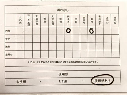 平和屋着物◎六通柄袋帯　唐織　草花文　銀糸　正絹　逸品　BAAX0784hv