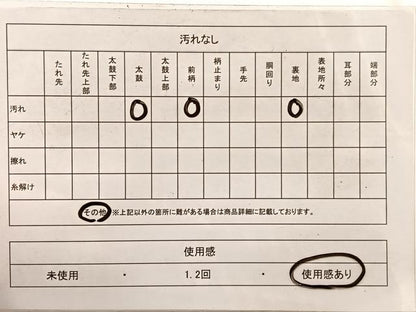 平和屋着物◎六通柄袋帯　唐織　飾花文　銀糸　正絹　逸品　BAAX0799hv