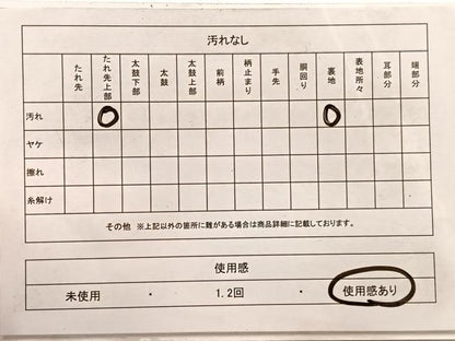 平和屋着物◎六通柄袋帯　槍梅　金銀糸　正絹　逸品　未使用　BAAX0820hv