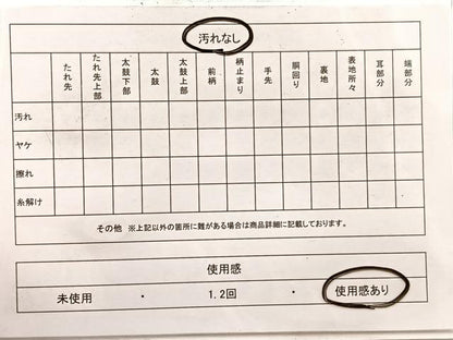 平和屋着物◎六通柄袋帯　唐織　名所風景文　金銀糸　正絹　逸品　BAAX0994hv