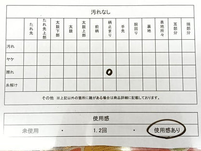 平和屋着物◎六通柄袋帯　唐織　立涌花文　金糸　正絹　逸品　BAAX1152qw