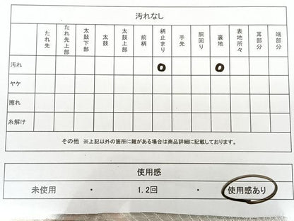 平和屋着物◎六通柄袋帯　唐織　檜垣松葉文　金銀糸　正絹　逸品　BAAX1153qw