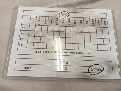 平和屋着物◎六通柄袋帯 菊花文 金銀糸 正絹 逸品 BAAX1225mz