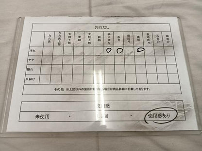 平和屋着物◎六通柄 京袋帯 立波文 銀糸 正絹 逸品 BAAX1252mz