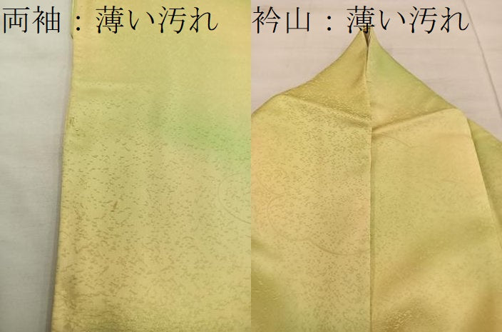 平和屋着物■訪問着 駒刺繍 菊花文 金彩 正絹 逸品 BAAX1423mz