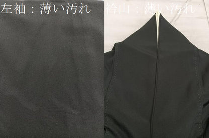 平和屋着物■豪華黒留袖　作家物　駒刺繍　人物風景絵巻文　金彩　正絹　逸品　BAAX1424mz