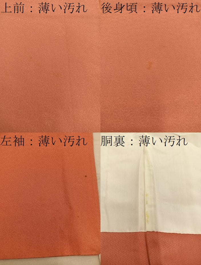 平和屋着物□本草木染作家 圓啓 色無地 菊花地紋 鉛丹色