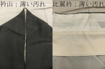 平和屋着物■豪華黒留袖 駒刺繍 菊花文 金彩 正絹 逸品 BAAX1452mz